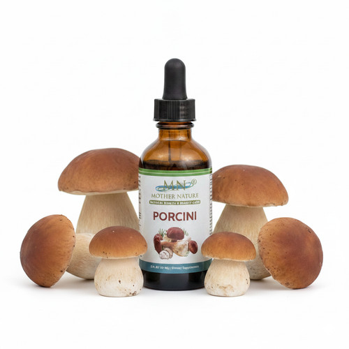 Organic porcini mushroom - organic,